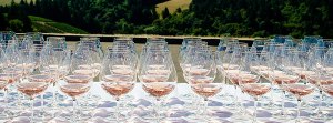 bivb wine glasses in vineyards